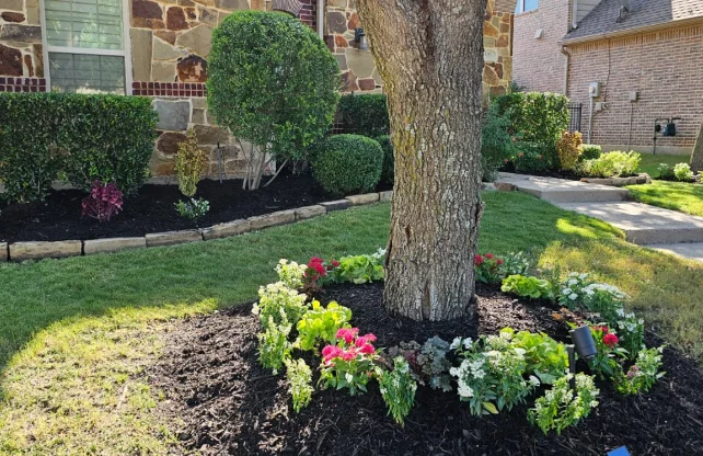 Landscape Maintenance McKinney, Frisco, Aubrey, Celina, Anna, Little elm, prosper